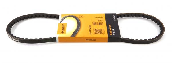 CONTINENTAL CTAM Keilriemen AVX10X825