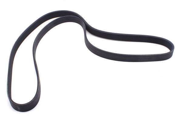 SKF Keilrippenriemen VKMV 6PK1555