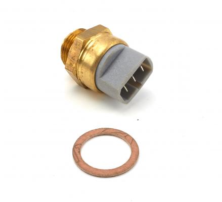 BorgWarner (Wahler) Temperaturschalter, Kühlerlüfter 6017.95D