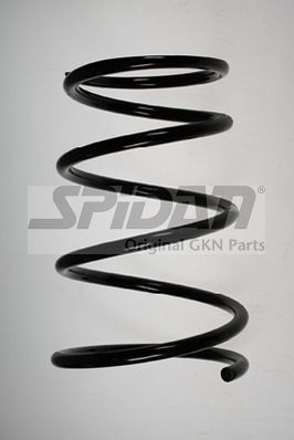 SPIDAN Fahrwerksfeder 49534