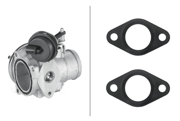 HELLA AGR-Ventil 6NU 010 171-311