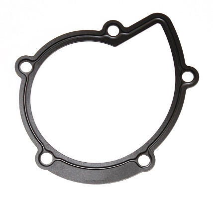 ELRING Dichtung, Wasserpumpe 394.280