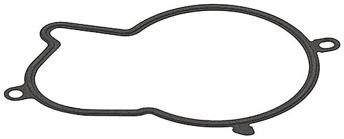 ELRING Dichtung, Einspritzpumpe 793.480
