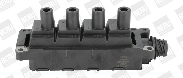 BorgWarner (BERU) Zündspule ZS307