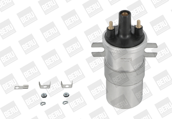 BorgWarner (BERU) Zündspule ZS563