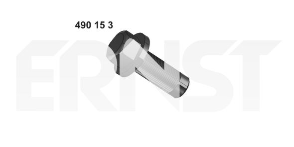 ERNST Schraube, Abgasanlage 490153