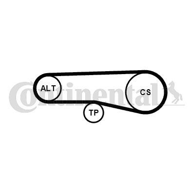 CONTINENTAL CTAM Keilrippenriemensatz 4PK890K1