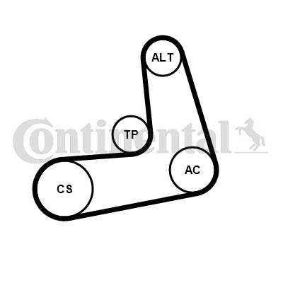CONTINENTAL CTAM Keilrippenriemensatz 6PK1005K2