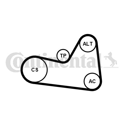 CONTINENTAL CTAM Keilrippenriemensatz 6PK1026K1