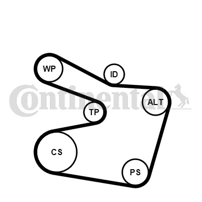 CONTINENTAL CTAM Keilrippenriemensatz 6PK1538K2