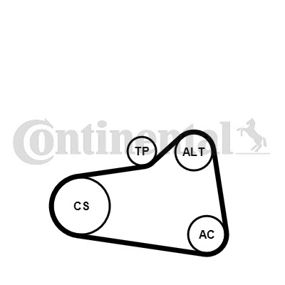 CONTINENTAL CTAM Keilrippenriemensatz 6PK905 EXTRA K1