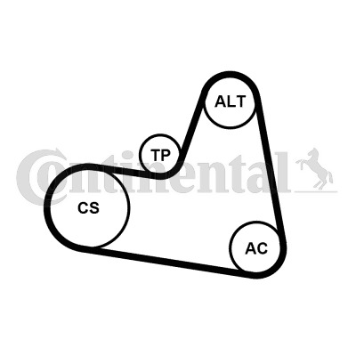 CONTINENTAL CTAM Keilrippenriemensatz 6PK962K1