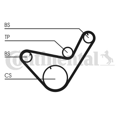 CONTINENTAL CTAM Zahnriemensatz CT714K1