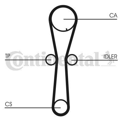 CONTINENTAL CTAM Zahnriemen CT954