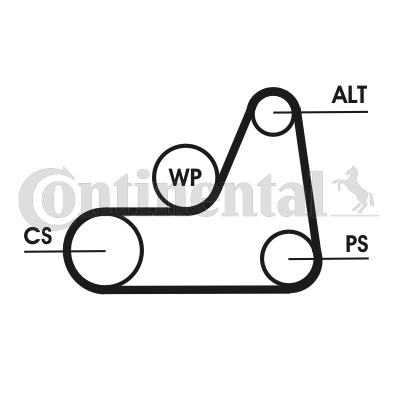 CONTINENTAL CTAM Keilrippenriemen 6PK1042 ELAST