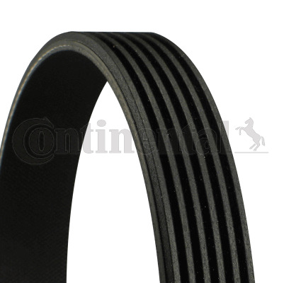 CONTINENTAL CTAM Keilrippenriemen 6PK1256