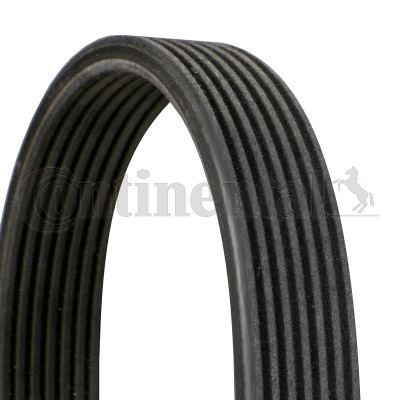 CONTINENTAL CTAM Keilrippenriemen 7DPK1884