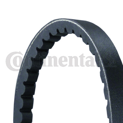 CONTINENTAL CTAM Keilriemen AVX13X825