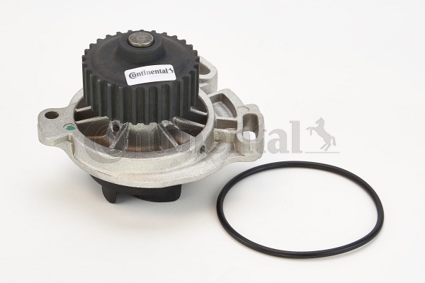 CONTINENTAL CTAM Wasserpumpe WP6066