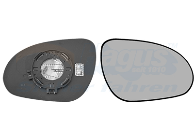 VAN WEZEL Spiegelglas, Außenspiegel 8207836
