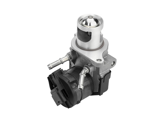BorgWarner (Wahler) AGR-Ventil 710327D/1