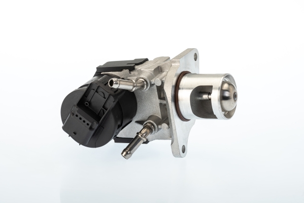 BorgWarner (Wahler) AGR-Ventil 710327D