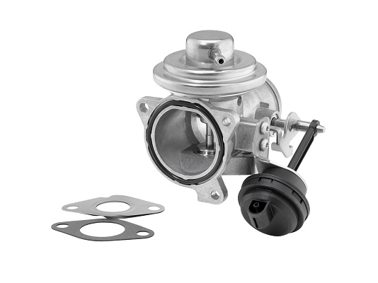 BorgWarner (Wahler) AGR-Ventil 7293D/1