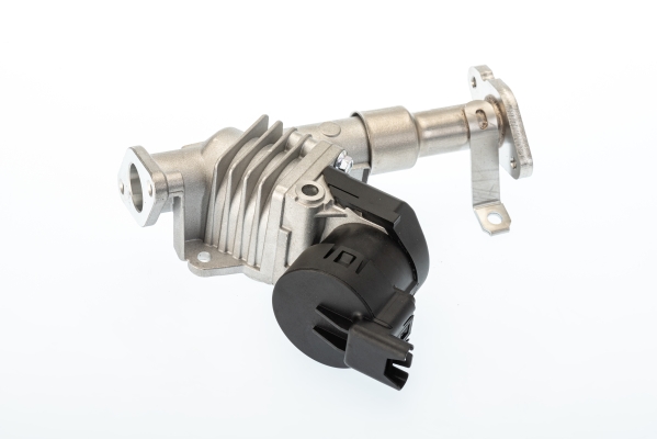 BorgWarner (Wahler) AGR-Ventil 7574D/1