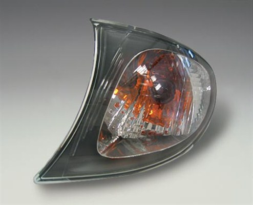 MAGNETI MARELLI Blinkleuchte 715010723905
