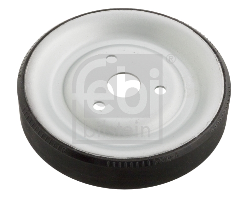 FEBI BILSTEIN Riemenscheibe, Wasserpumpe 102466