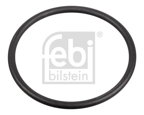 FEBI BILSTEIN Dichtung, Kraftstoffpumpe 172666