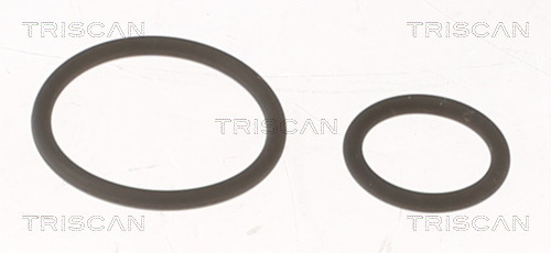 TRISCAN Dichtungssatz, Einspritzdüse 596-1001