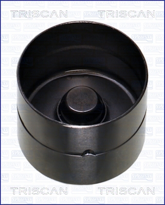 TRISCAN Ventilstößel 80-16002