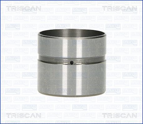 TRISCAN Ventilstößel 80-43002