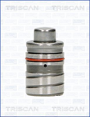 TRISCAN Ventilstößel 80-50000