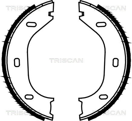 TRISCAN Bremsbackensatz, Feststellbremse 8100 10290