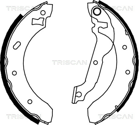 TRISCAN Bremsbackensatz, Feststellbremse 8100 16537