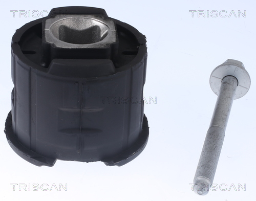 TRISCAN Lagerung, Achskörper 8500 118022