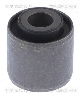 TRISCAN Lagerung, Lenker 8500 16873