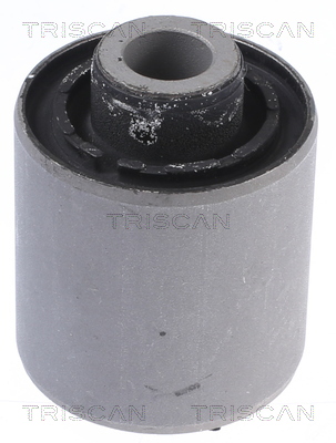 TRISCAN Lagerung, Lenker 8500 43848