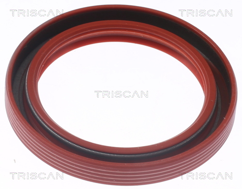TRISCAN Wellendichtring, Zwischenwelle 8550 10073