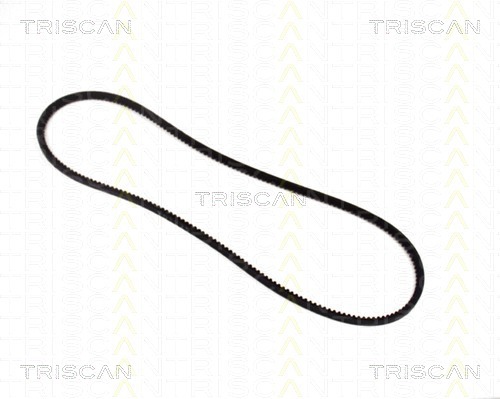 TRISCAN Keilriemen 8640 100975