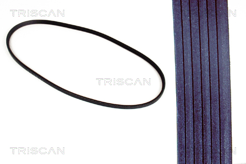 TRISCAN Keilriemen 8640 130900