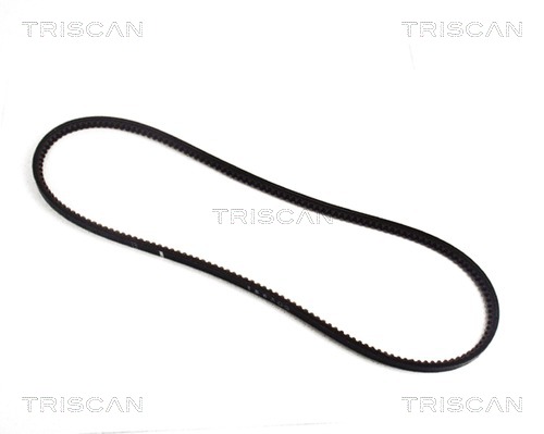 TRISCAN Keilriemen 8640 131200