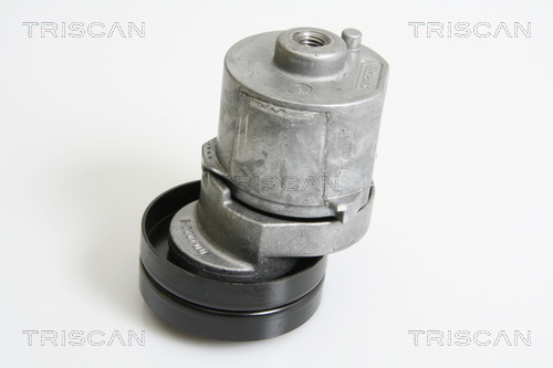TRISCAN Riemenspanner, Keilrippenriemen 8641 163014