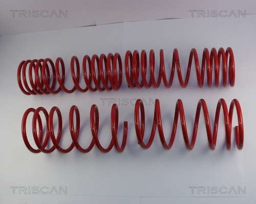 TRISCAN Fahrwerksatz, Federn 8755 43001