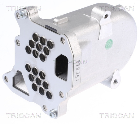 TRISCAN Kühler, Abgasrückführung 8813 10104