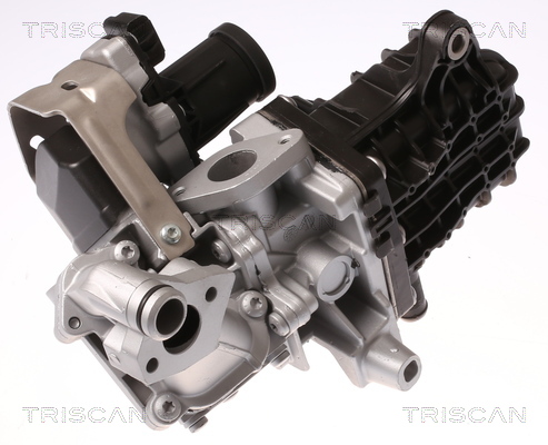 TRISCAN AGR-Ventil 8813 28046