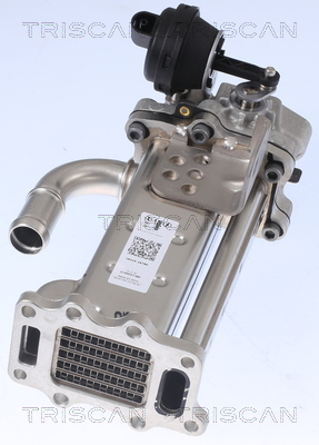TRISCAN Kühler, Abgasrückführung 8813 43104