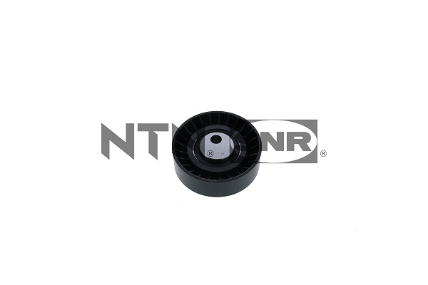 SNR Spannrolle, Keilrippenriemen GA350.20